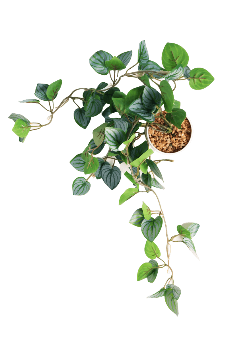 Trailing Plant Fake Lifelike Realistic Unkillable! - Chive US Wholesale