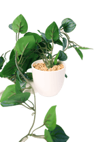 Trailing Plant Fake Lifelike Realistic Unkillable! - Chive US Wholesale