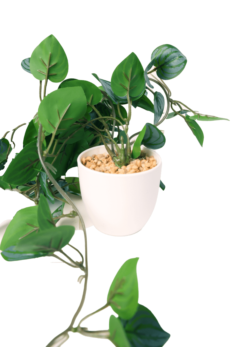 Trailing Plant Fake Lifelike Realistic Unkillable! - Chive US Wholesale