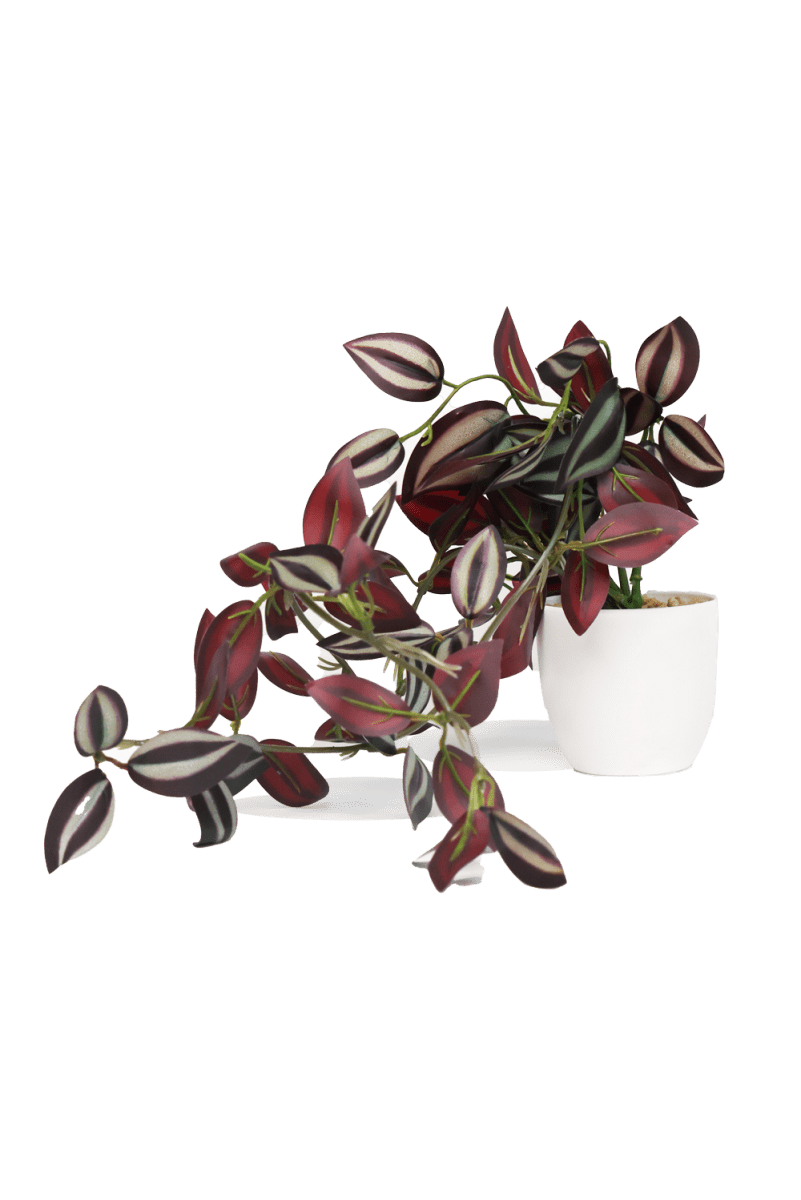 Trailing Plant Fake Lifelike Realistic Unkillable! - Chive US Wholesale