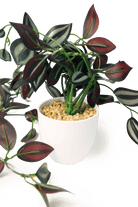 Trailing Plant Fake Lifelike Realistic Unkillable! - Chive US Wholesale