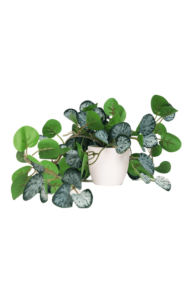 Trailing Plant Fake Lifelike Realistic Unkillable! - Chive US Wholesale