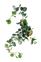 Trailing Plant Fake Lifelike Realistic Unkillable! - Chive US Wholesale