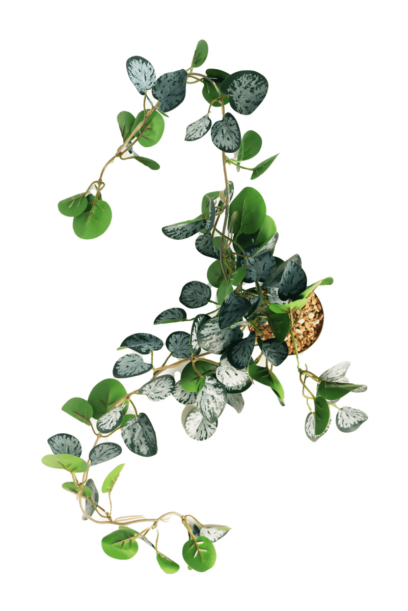 Trailing Plant Fake Lifelike Realistic Unkillable! - Chive US Wholesale