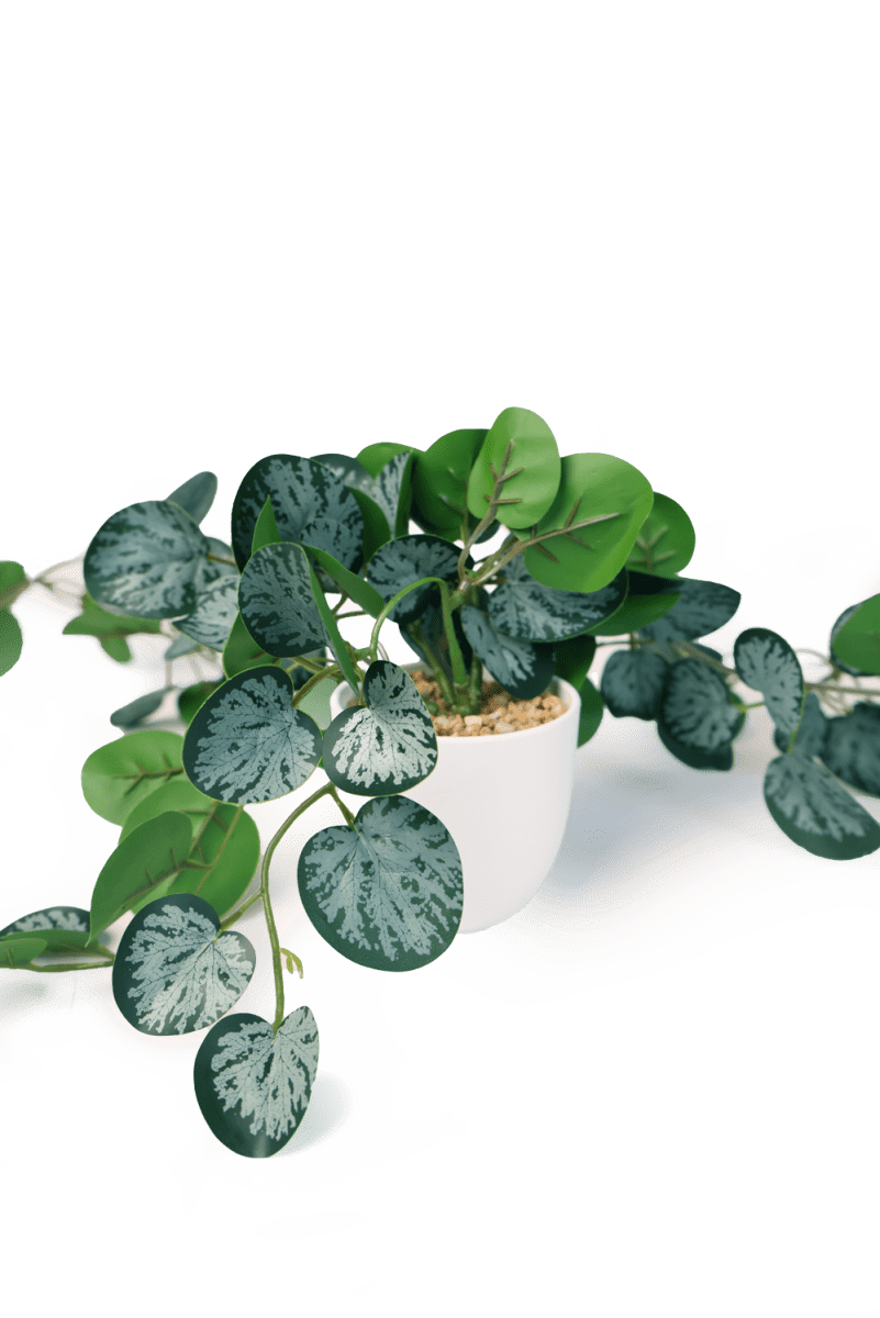 Trailing Plant Fake Lifelike Realistic Unkillable! - Chive US Wholesale