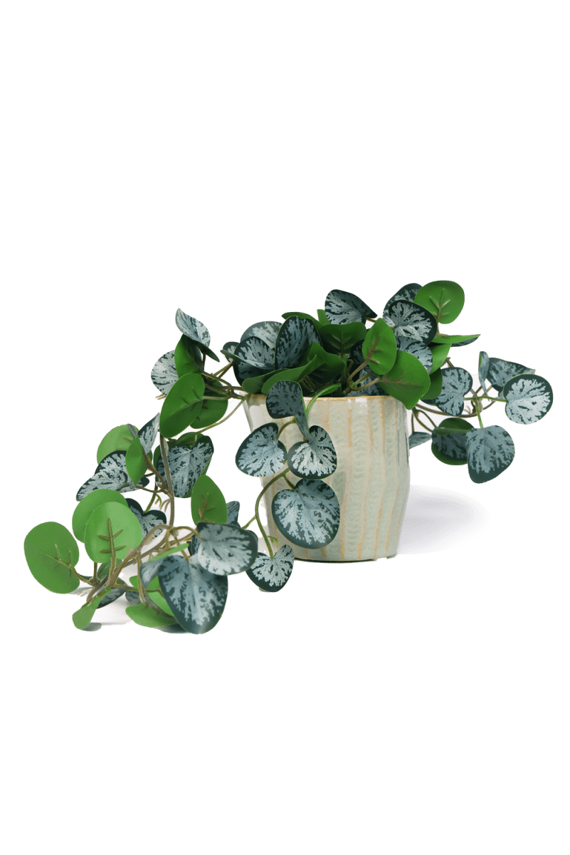 Trailing Plant Fake Lifelike Realistic Unkillable! - Chive US Wholesale