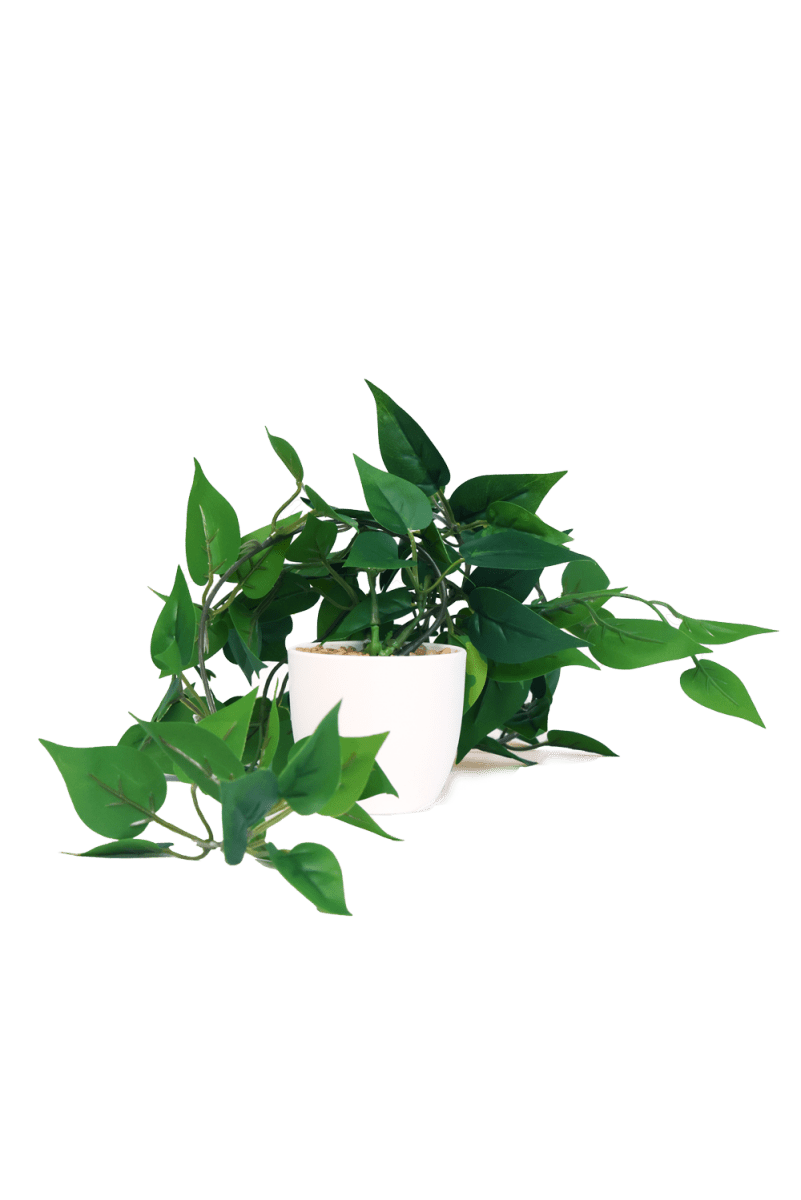 Trailing Plant Fake Lifelike Realistic Unkillable! - Chive US Wholesale