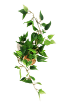 Trailing Plant Fake Lifelike Realistic Unkillable! - Chive US Wholesale