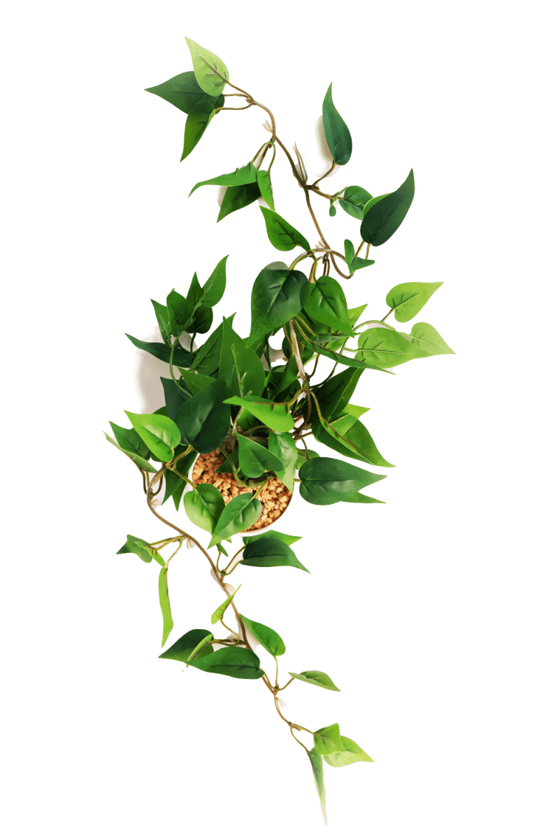 Trailing Plant Fake Lifelike Realistic Unkillable! - Chive US Wholesale