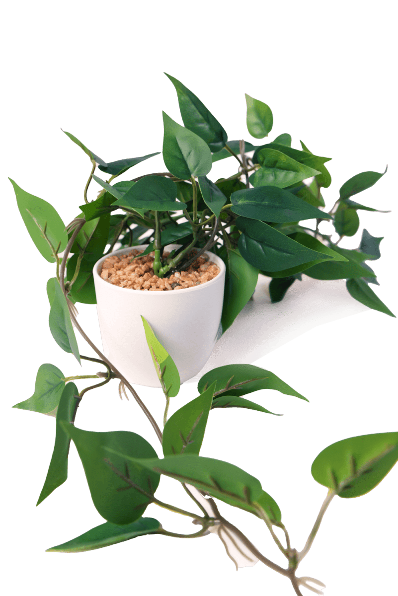 Trailing Plant Fake Lifelike Realistic Unkillable! - Chive US Wholesale