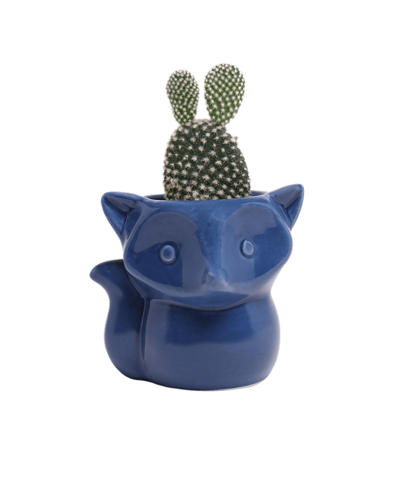 Fox Ceramic Indoor Plant Pot For Succulents - Chive US Wholesale