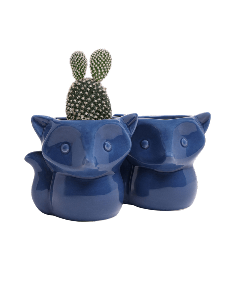 Fox Ceramic Indoor Plant Pot For Succulents - Chive US Wholesale