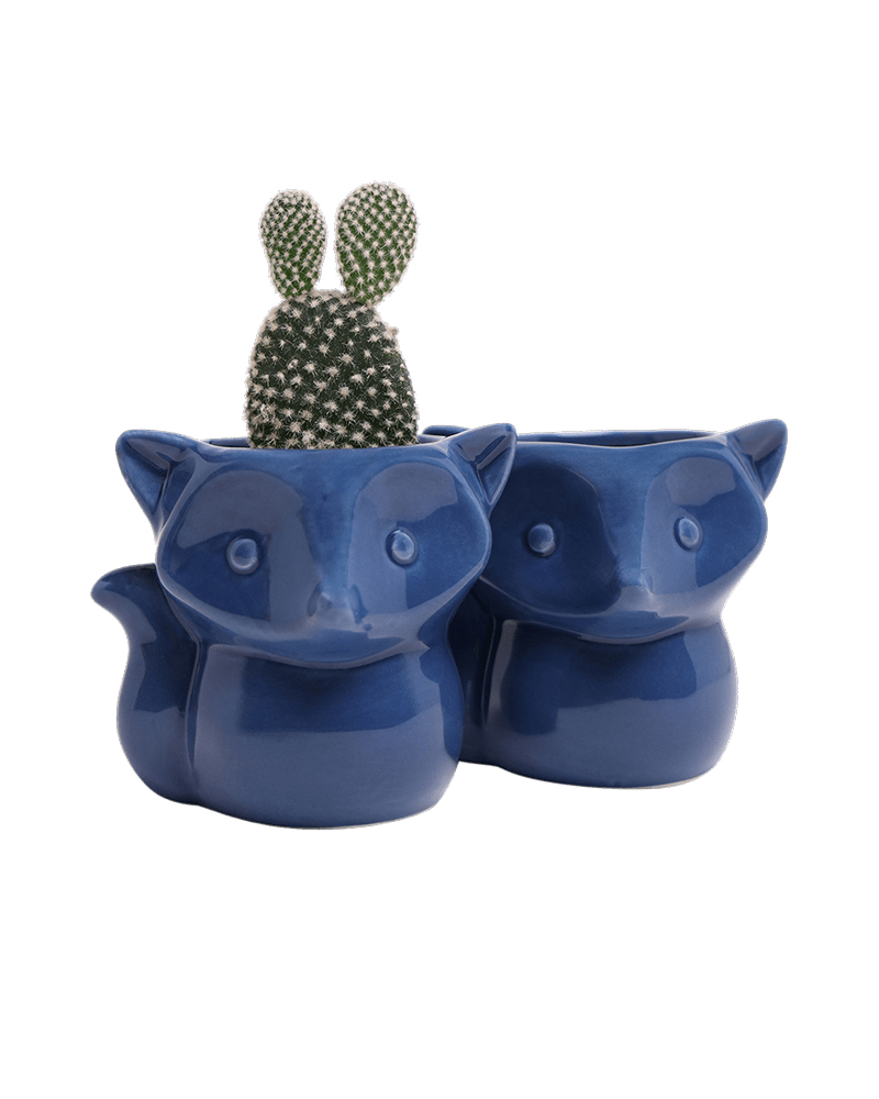 Fox Ceramic Indoor Plant Pot For Succulents - Chive US Wholesale