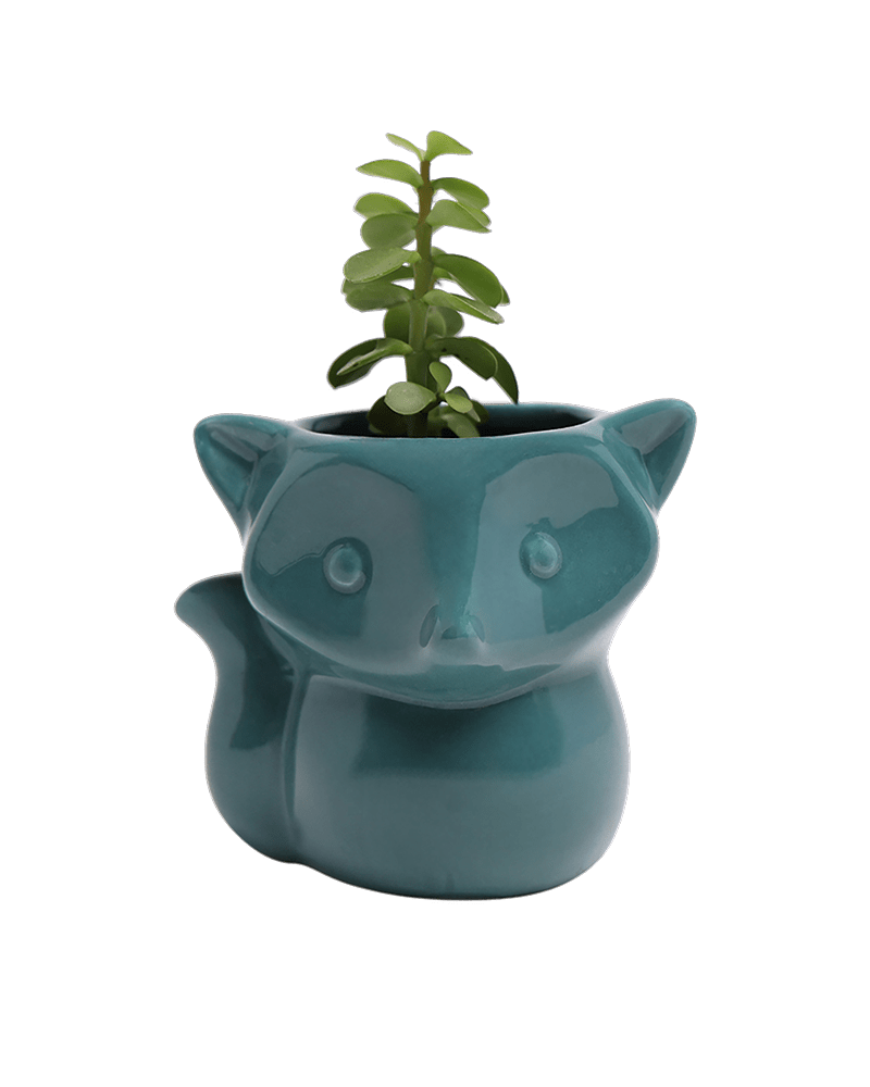 Fox Ceramic Indoor Plant Pot For Succulents - Chive US Wholesale