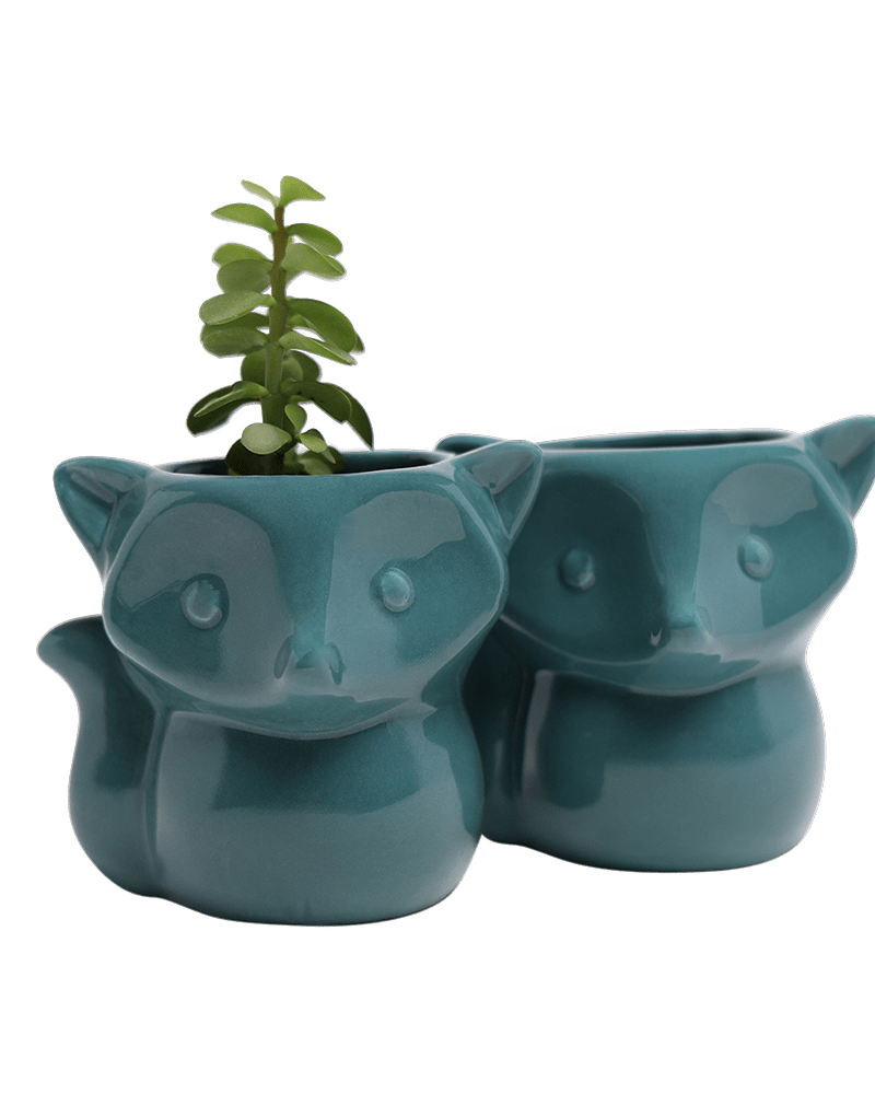 Fox Ceramic Indoor Plant Pot For Succulents - Chive US Wholesale