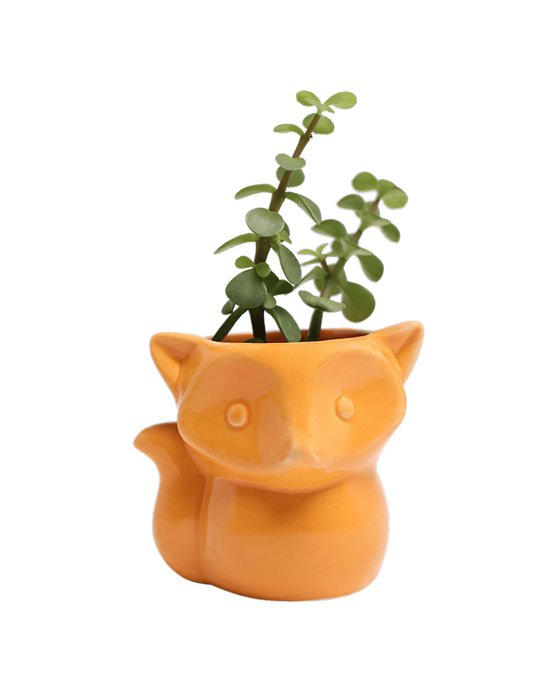 Fox Ceramic Indoor Plant Pot For Succulents - Chive US Wholesale
