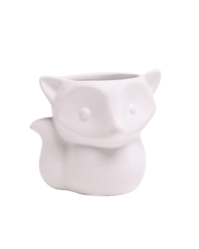 Fox Ceramic Indoor Plant Pot For Succulents - Chive US Wholesale