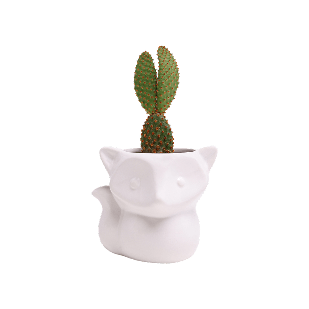 Fox Ceramic Indoor Plant Pot For Succulents - Chive US Wholesale