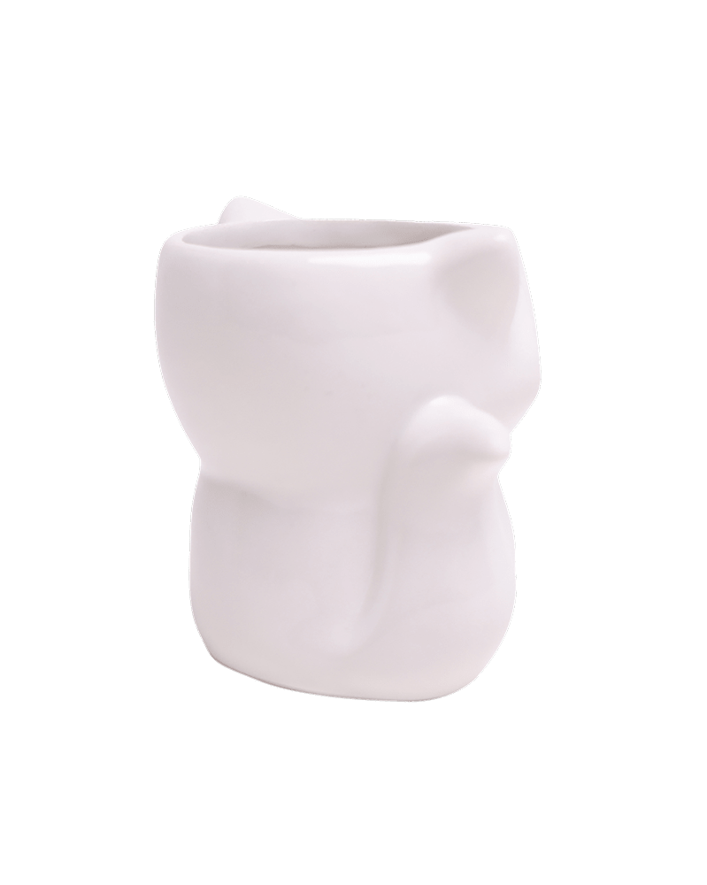 Fox Ceramic Indoor Plant Pot For Succulents - Chive US Wholesale