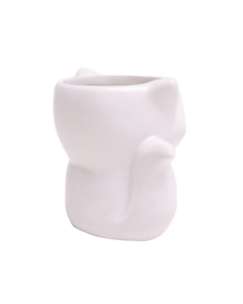 Fox Ceramic Indoor Plant Pot For Succulents - Chive US Wholesale