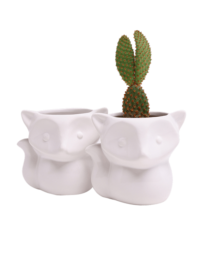 Fox Ceramic Indoor Plant Pot For Succulents - Chive US Wholesale