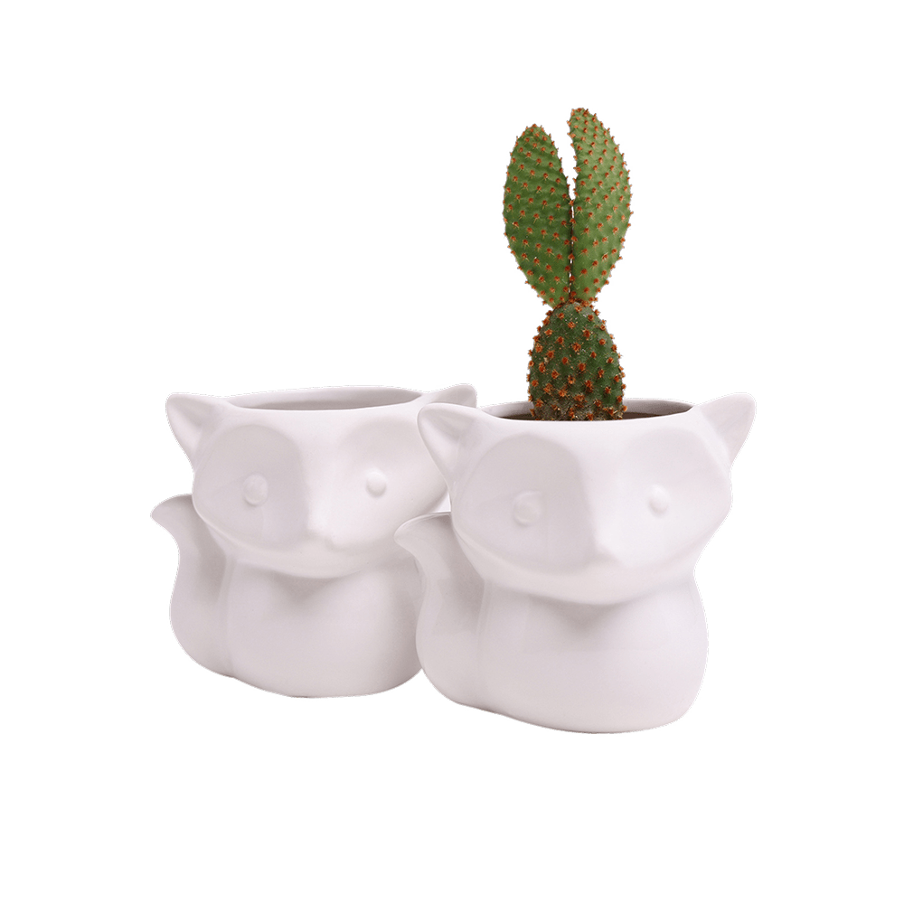 Fox Ceramic Indoor Plant Pot For Succulents - Chive US Wholesale