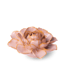 FR01 Rose Pink Camellia - Chive US Wholesale