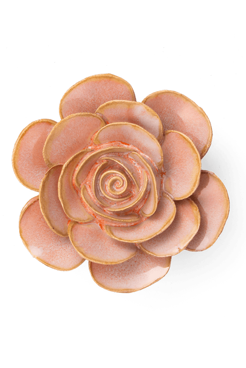 FR02 Peach Pink Cloni Ranunculus - Chive US Wholesale