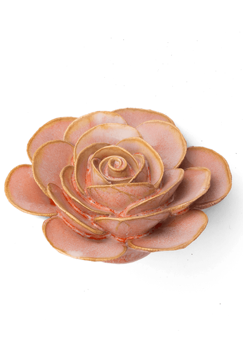 FR02 Peach Pink Cloni Ranunculus - Chive US Wholesale