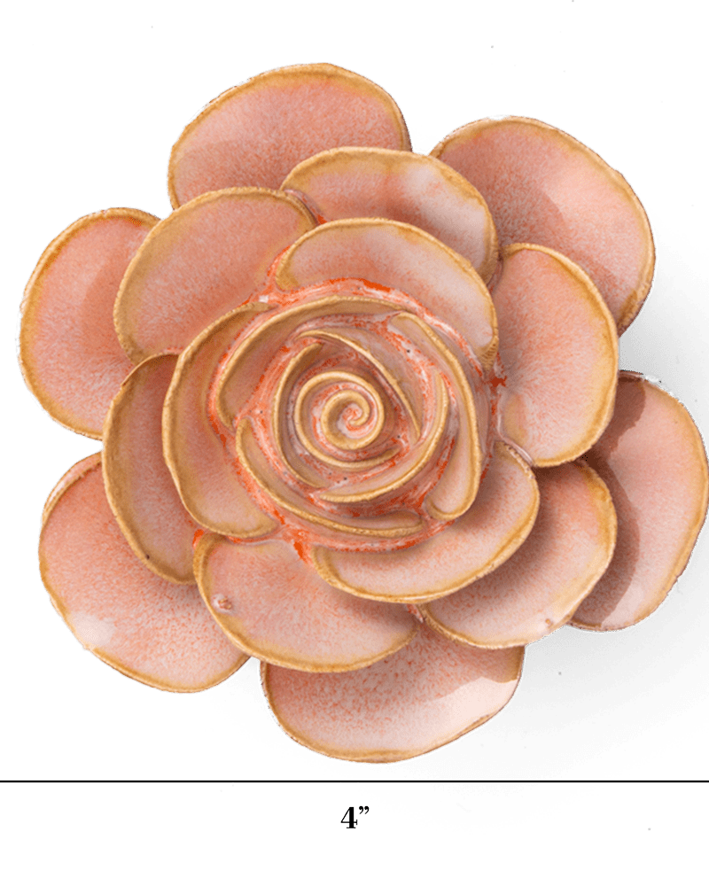 FR02 Peach Pink Cloni Ranunculus - Chive US Wholesale