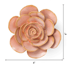 FR02 Peach Pink Cloni Ranunculus - Chive US Wholesale