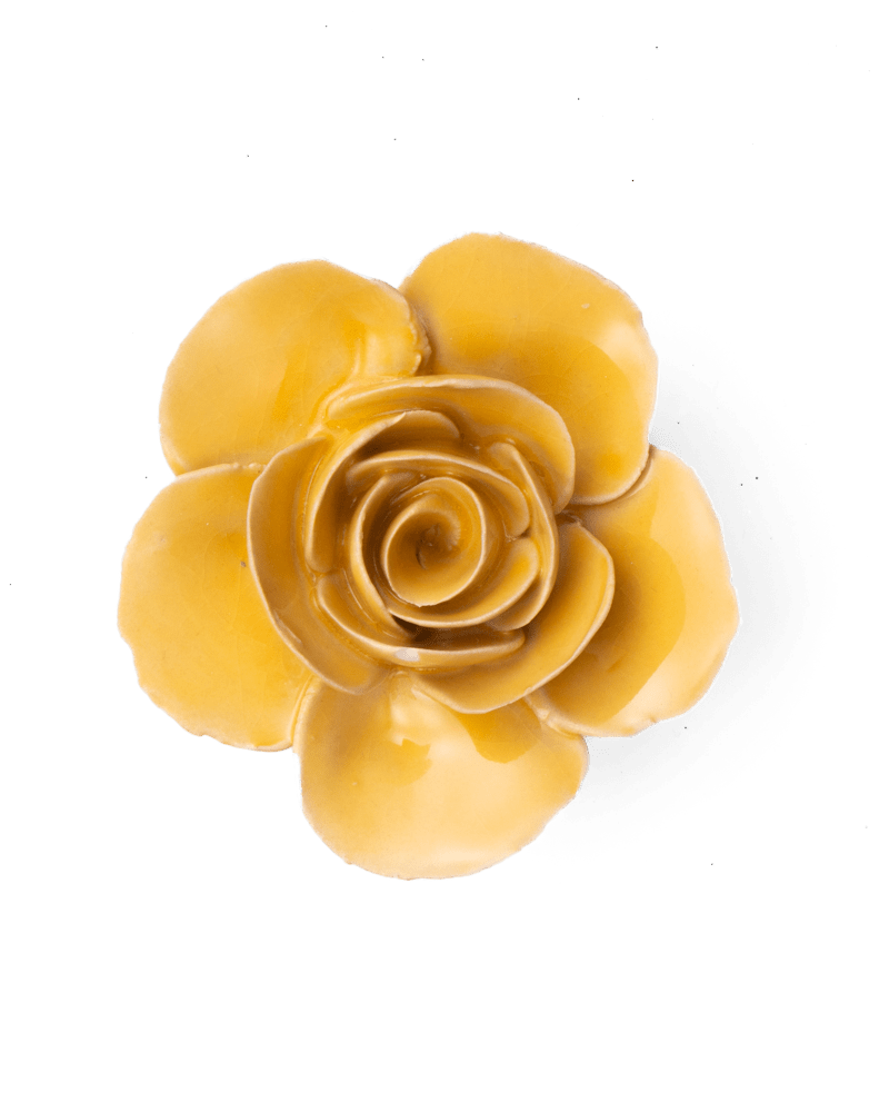 FR03 Burnt Yellow Elegance Ranunculus - Chive US Wholesale