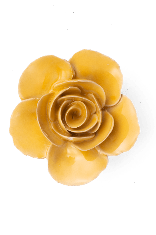 FR03 Burnt Yellow Elegance Ranunculus - Chive US Wholesale