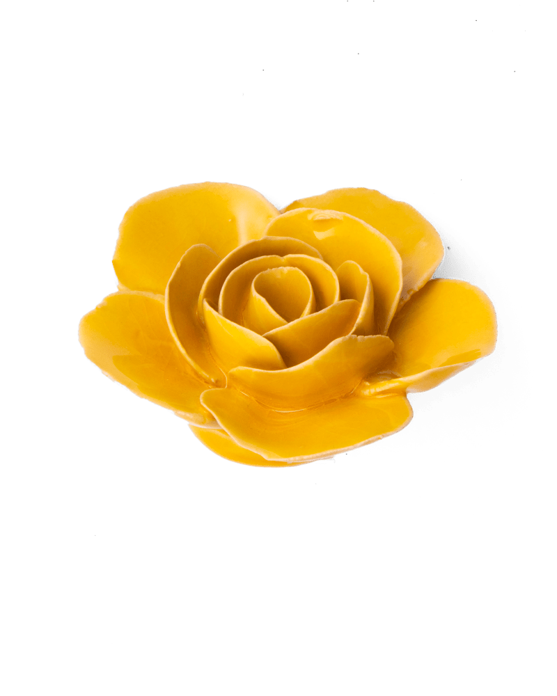 FR03 Burnt Yellow Elegance Ranunculus - Chive US Wholesale