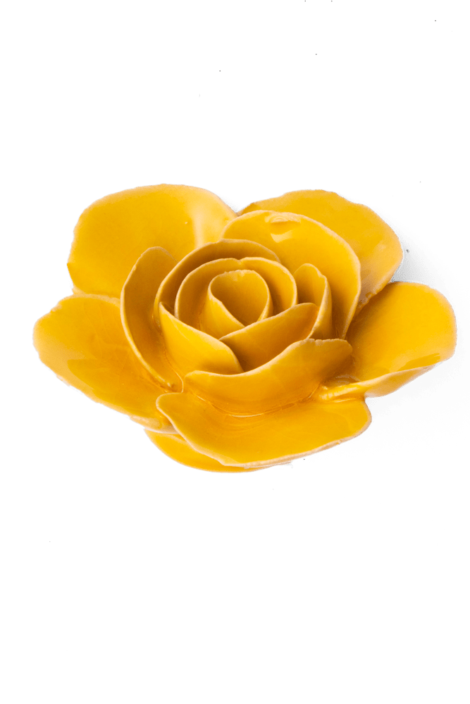 FR03 Burnt Yellow Elegance Ranunculus - Chive US Wholesale