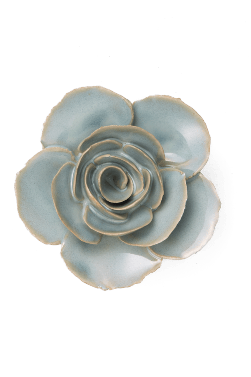 FR04 Milk Teal Elegance Ranunculus - Chive US Wholesale