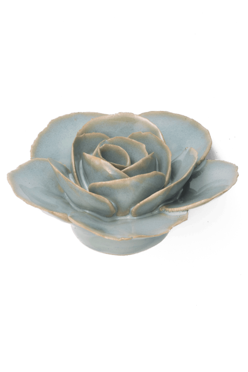 FR04 Milk Teal Elegance Ranunculus - Chive US Wholesale