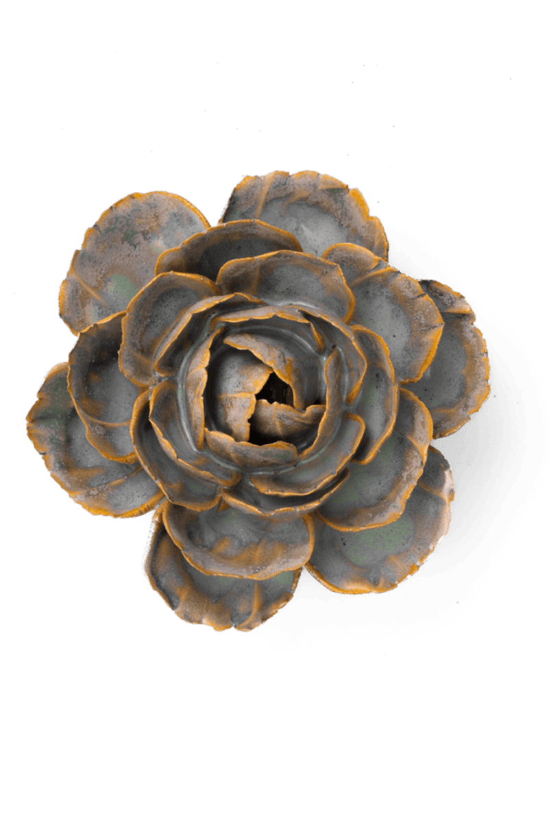 FR05 Pale Blue English Rose - Chive US Wholesale