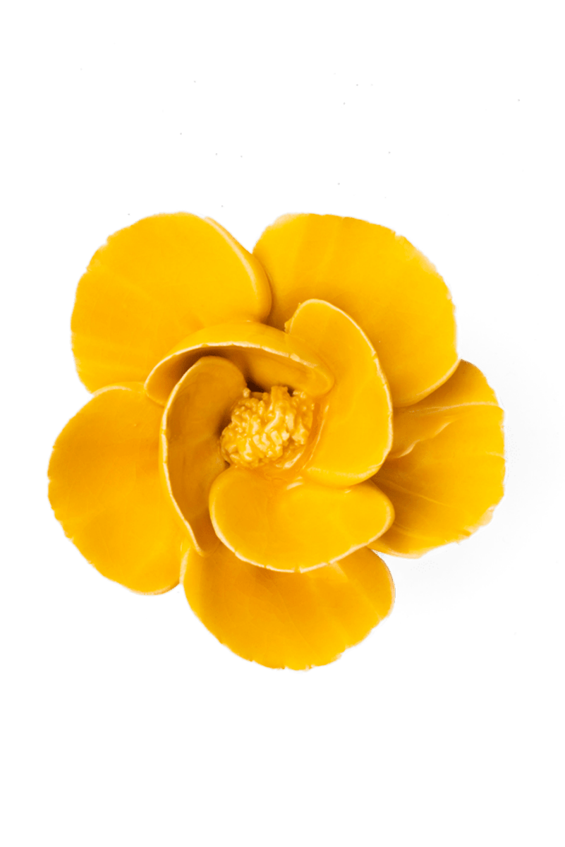 FR06 Burnt Yellow Poppy - Chive US Wholesale