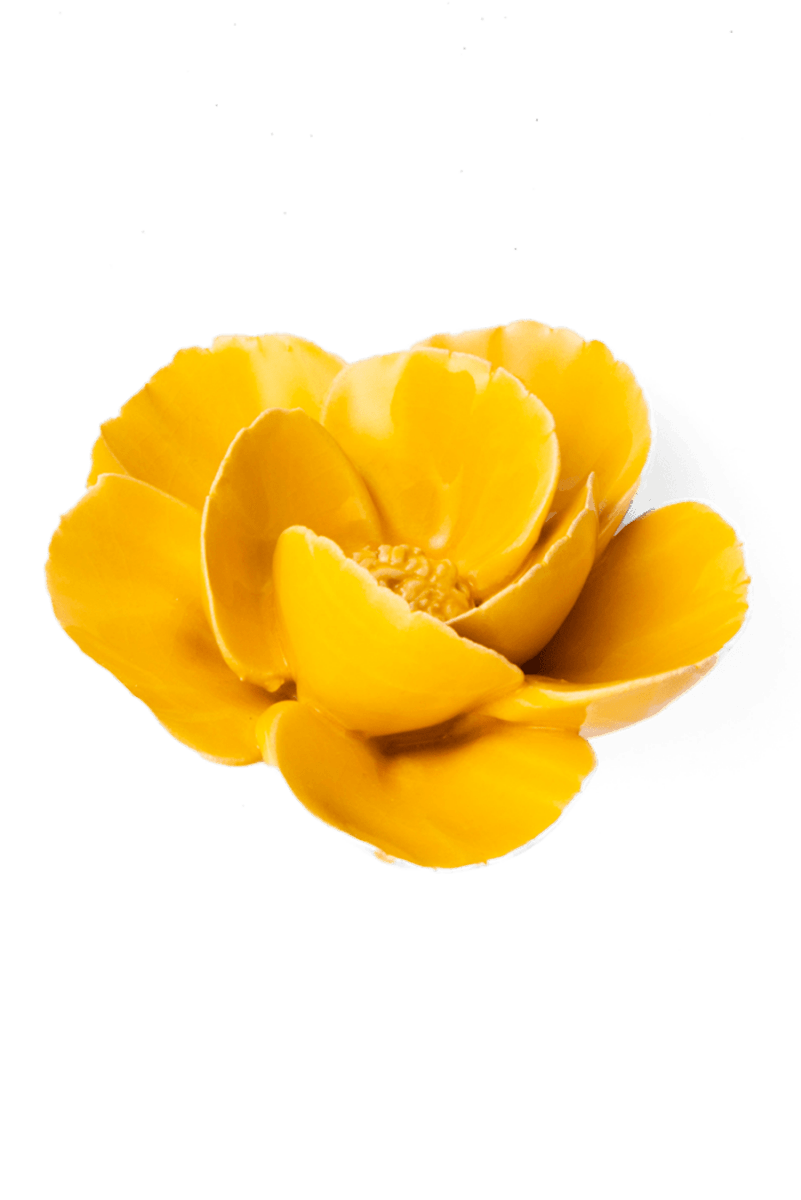 FR06 Burnt Yellow Poppy - Chive US Wholesale