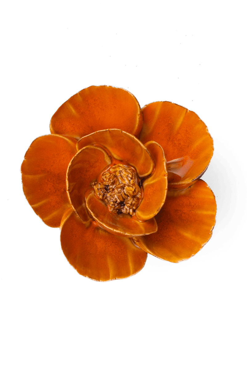 FR08 Burnt Orange Poppy - Chive US Wholesale