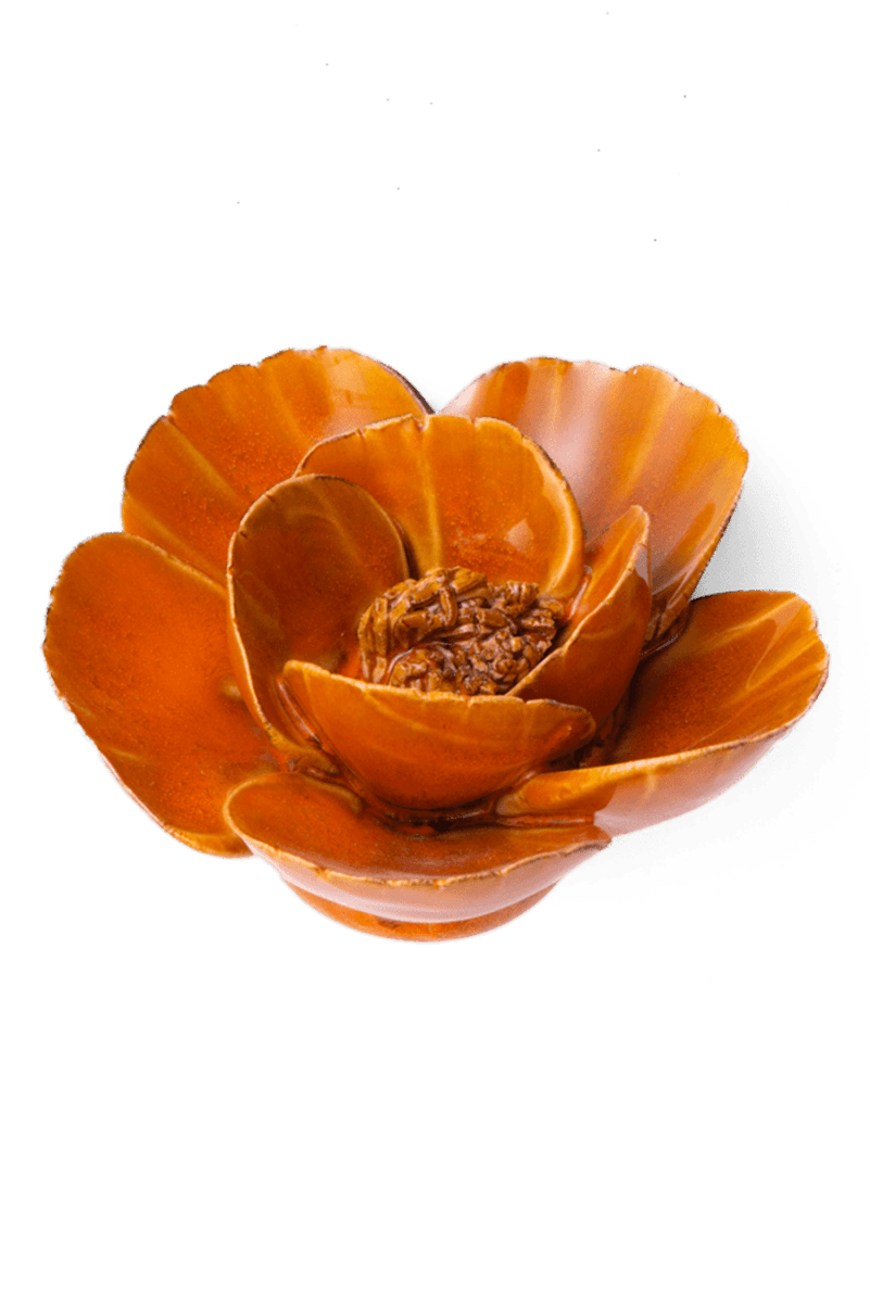 FR08 Burnt Orange Poppy - Chive US Wholesale