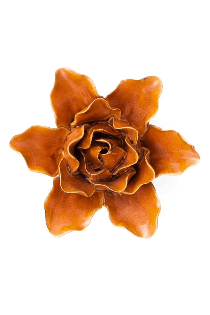 FR13 Burnt Orange Stargazer Lily - Chive US Wholesale