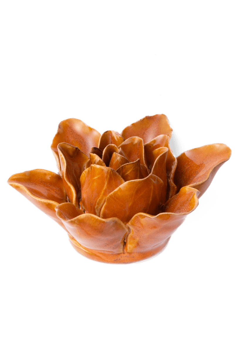 FR13 Burnt Orange Stargazer Lily - Chive US Wholesale