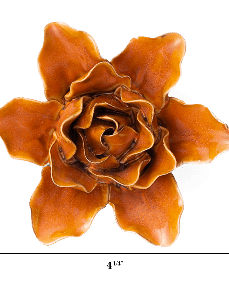 FR13 Burnt Orange Stargazer Lily - Chive US Wholesale