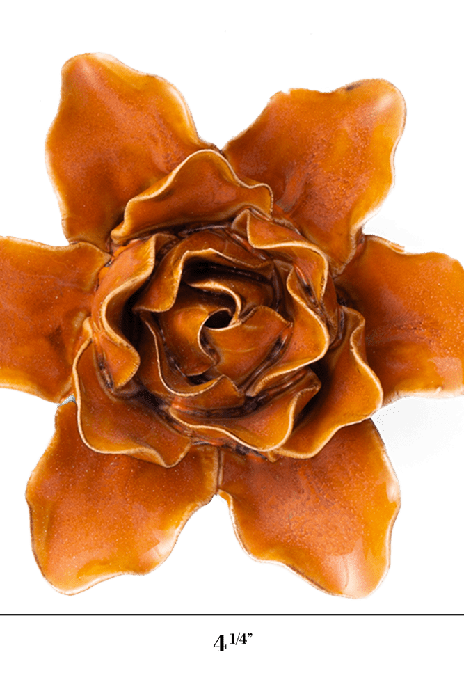 FR13 Burnt Orange Stargazer Lily - Chive US Wholesale