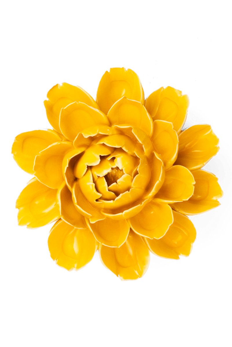 FR14 Burnt Yellow Empire Cabbage Flower - Chive US Wholesale