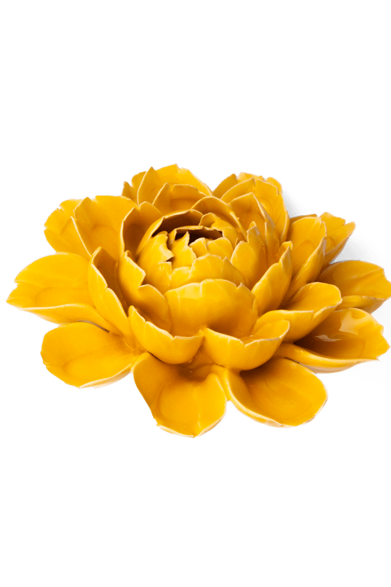 FR14 Burnt Yellow Empire Cabbage Flower - Chive US Wholesale