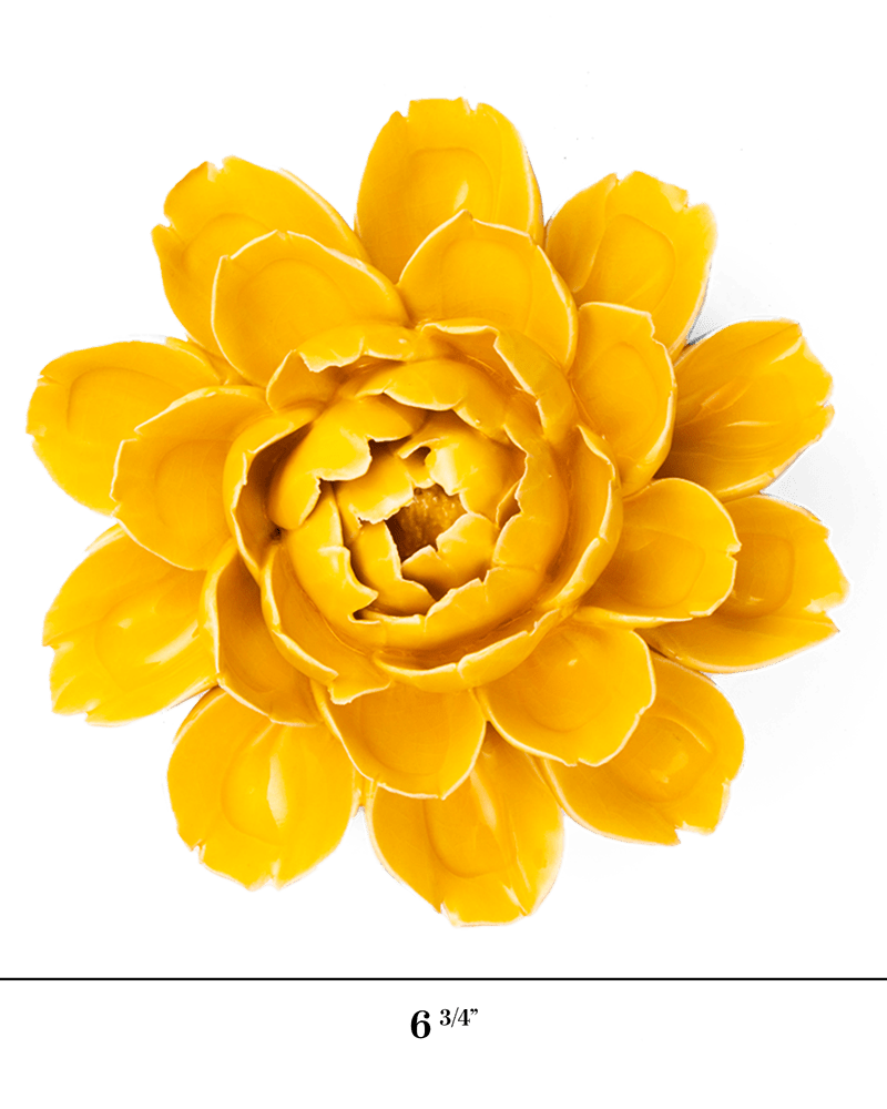 FR14 Burnt Yellow Empire Cabbage Flower - Chive US Wholesale