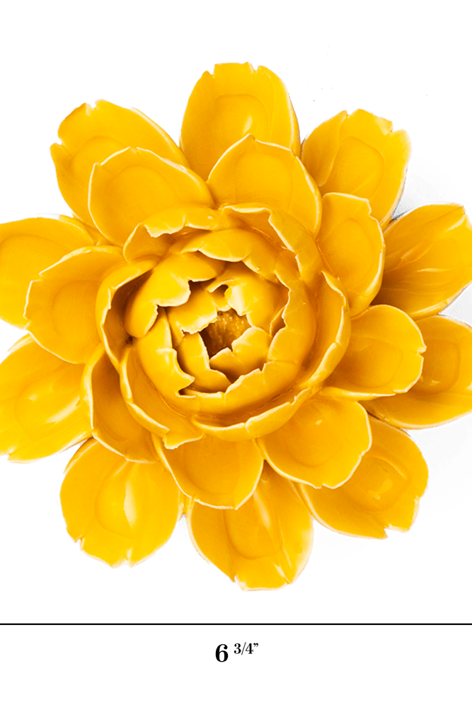 FR14 Burnt Yellow Empire Cabbage Flower - Chive US Wholesale